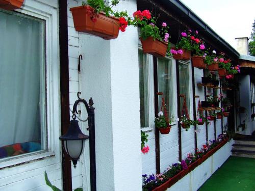 Zahrada ubytování Hostel Domestika