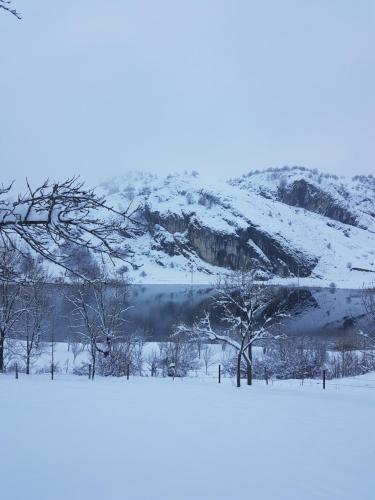 a snow covered mountain with a lake and trees at Detached house Milivoje in Pošćenje