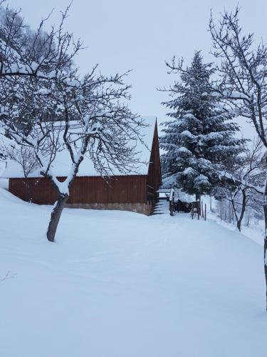 a church covered in snow with a tree in the background at Detached house Milivoje in Pošćenje