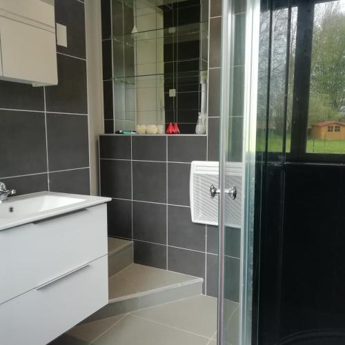 une salle de bain avec une douche en verre et un lavabo dans l'établissement Au fil de l'eau à la campagne, à Canny-sur-Thérain