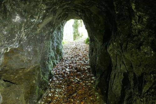 Gallery image of Penzión** Amálka in Hriňová