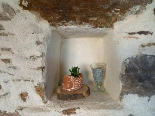 a small plant in a vase sitting on a shelf at Lac Grand Lieu : maisonnette au calme avec jardin in Saint-Lumine-de-Coutais