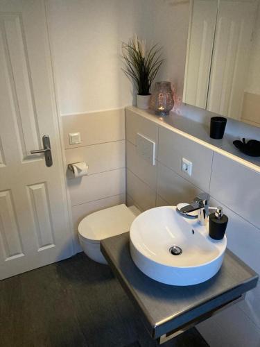 a bathroom with a sink and a toilet at Ferienwohnung Behnke in Brand