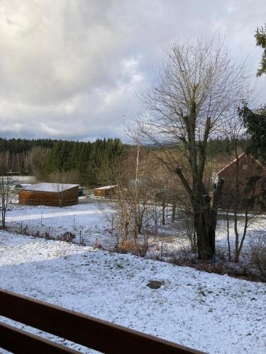 a snow covered field with a tree and a barn at Ferienwohnung Behnke in Brand
