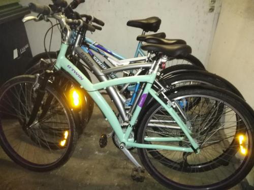 twee fietsen geparkeerd naast elkaar in een garage bij Gîte des trois vallees in Nouzonville