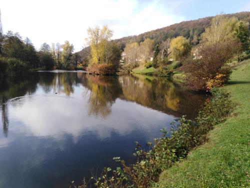 a view of a river with trees in the background at Gîte des trois vallees in Nouzonville