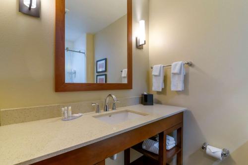 a bathroom with a sink and a mirror at Comfort Inn & Suites Mandan - Bismarck in Mandan