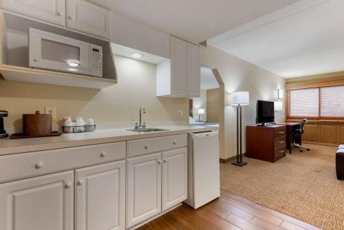 a kitchen with a sink and a microwave at Comfort Inn Binghamton I-81 in Binghamton