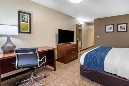 a hotel room with a bed and a desk and a computer at Comfort Inn & Suites Northern Kentucky in Wilder