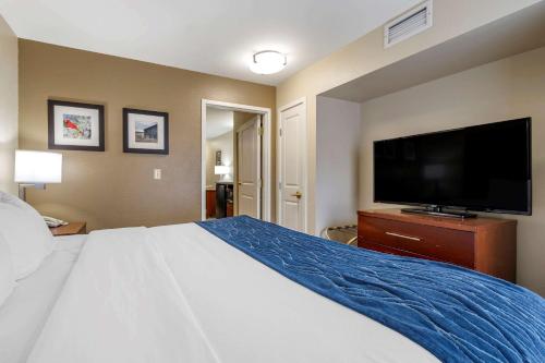 a bedroom with a large bed and a flat screen tv at Comfort Inn & Suites Northern Kentucky in Wilder