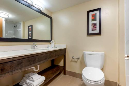 a bathroom with a toilet and a sink and a mirror at Comfort Inn Binghamton I-81 in Binghamton