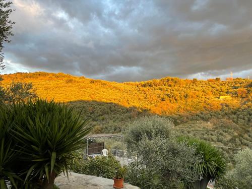 a view of a hill with fall foliage at Piccola Navetta in Diano San Pietro