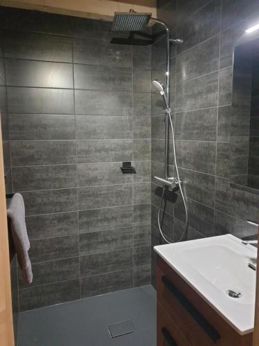 a bathroom with a shower and a sink at CHALET LES CERFS in Châtel