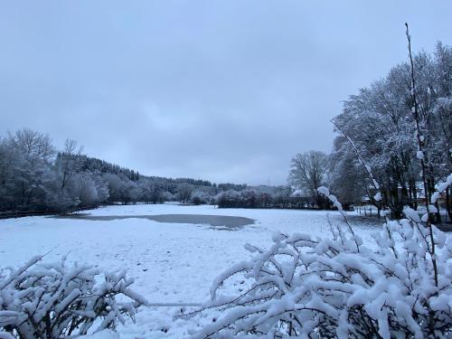 a snow covered field with a pond and trees at Le Scailleteux - Gîte de charme clôturé, accès à la rivière in Fauvillers