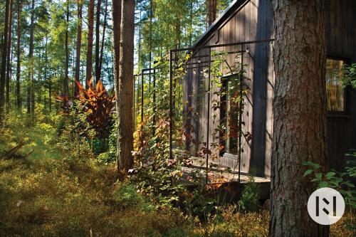 a cabin in the woods with a sign on a tree at Rabarberi LV just 15min walk to SeaSide in Saulkrasti