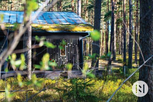 a smallshed in the middle of a forest at Rabarberi LV just 15min walk to SeaSide in Saulkrasti