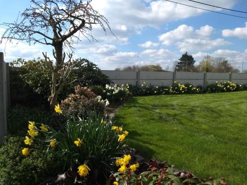 a garden with yellow flowers and a fence at DHofstede vakantiewoning in Oudenaarde