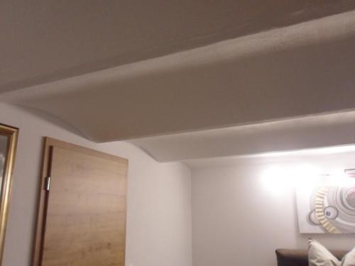 un soffitto a cassettoni in soggiorno di Luxusferienwohnung-Mager a Freyung