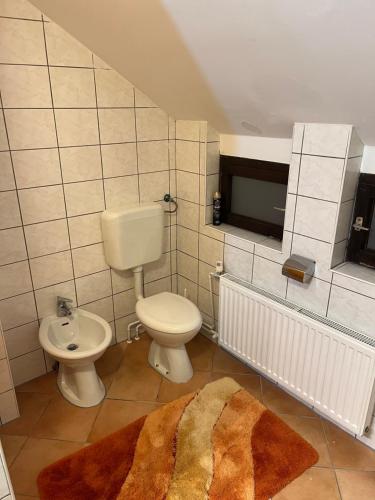 Koupelna v ubytování Apartma Anastasija
