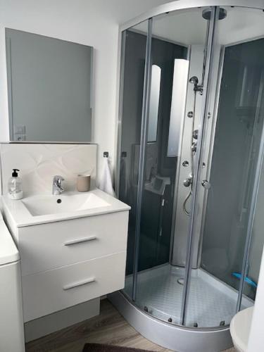 une salle de bain avec une douche en verre et un lavabo dans l'établissement Un havre de paix en plein coeur de ville près Chu, à Clermont-Ferrand