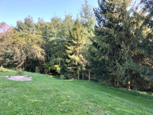 a grassy field with trees in the background at Zielony Zakątek in Złota
