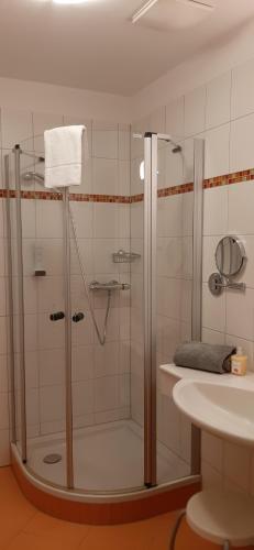 eine Dusche mit Glastür neben einem Waschbecken in der Unterkunft Landhotel-Restaurant Willingshofer in Gasen