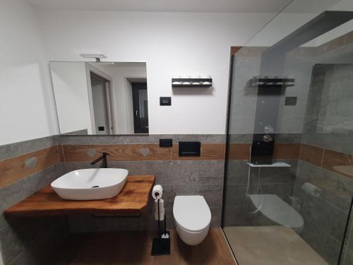 a bathroom with a sink and a toilet and a shower at Casa Vacanza Lo Nânò in Fenis