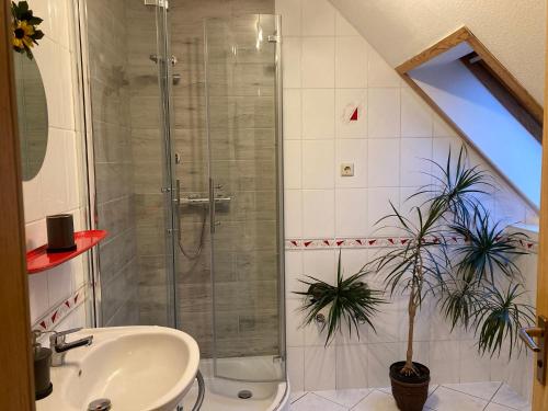 Koupelna v ubytování Ferien in Sachsen