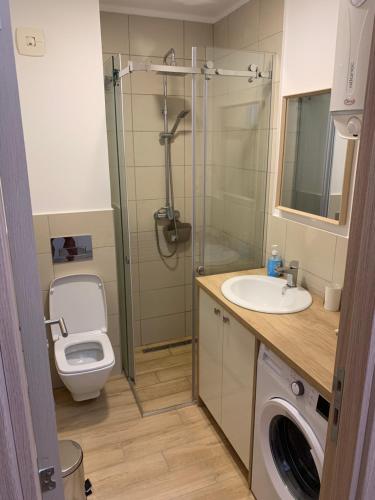 W łazience znajduje się prysznic, toaleta i umywalka. w obiekcie Cozy apartment in The Old Bakery Residences w Budvie
