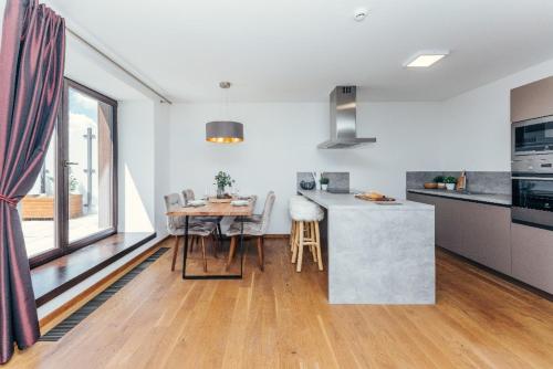 Η κουζίνα ή μικρή κουζίνα στο Luxury Apartments Adelka