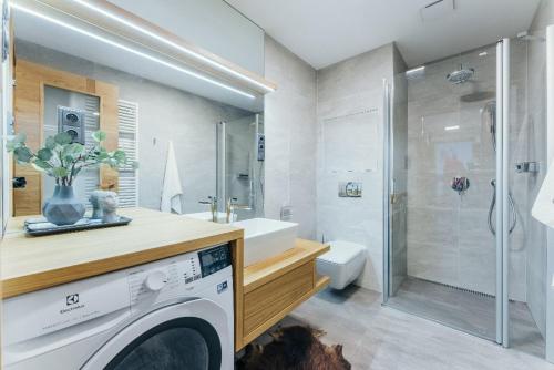 eine Waschmaschine im Bad mit Dusche in der Unterkunft Luxury Apartments Adelka in Špindlerův Mlýn