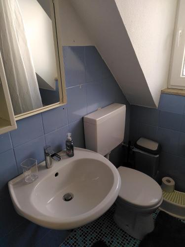 a bathroom with a sink and a toilet at Gemütliche Wohnung zentrumsnah in Pirmasens