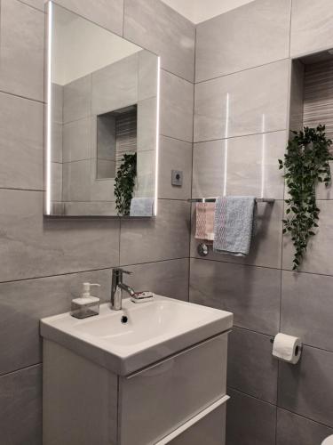 Koupelna v ubytování Apartman Nada