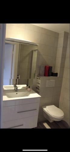 une salle de bain avec un lavabo et des toilettes dans l'établissement Chez Ben et Maé, à Rouffach