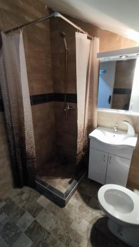 a bathroom with a shower and a sink and a toilet at Apartmani Mladenović in Kijevo