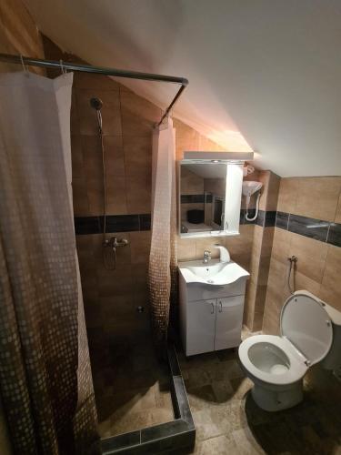 a bathroom with a shower and a toilet and a sink at Apartmani Mladenović in Kijevo