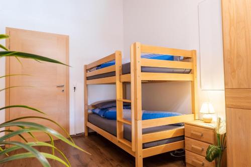a bunk bed in a room with a ladder at Starmacher Hof in Itter