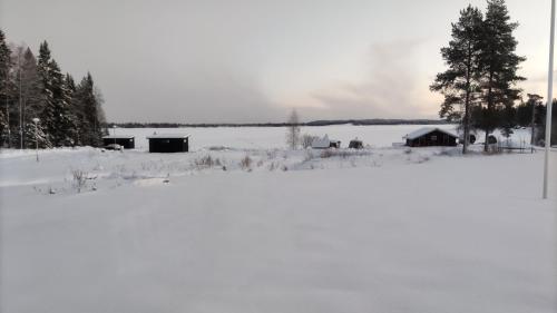 un champ recouvert de neige avec une grange et des arbres dans l'établissement Loma Luonnonlapsi Loimu-mökki, à Sotkamo