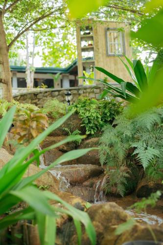 a garden with a waterfall in front of a house at Villa Birdlake in Hikkaduwa