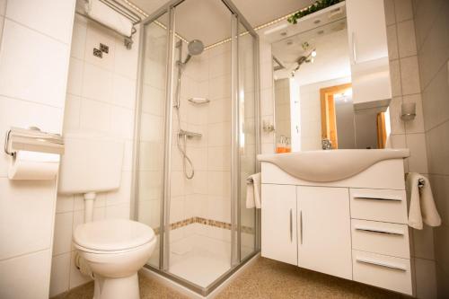 a bathroom with a toilet and a shower and a sink at Pension Knoll in Schörfling