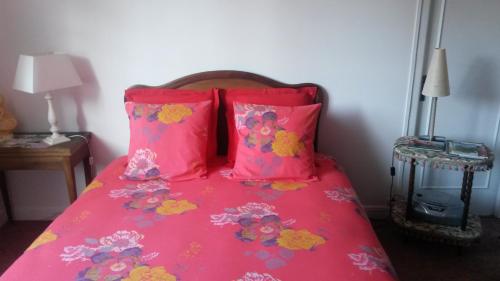 1 cama rosa con 2 almohadas rosas en la Maison d'Arbouet 
