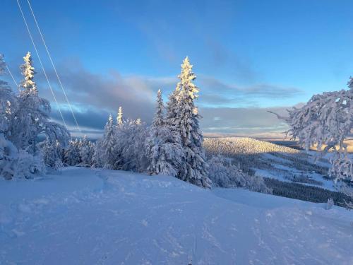 a ski lift with snow covered trees on a mountain at Åreskutans Mountain Lodge i Huså Lägenhet 03 in Huså