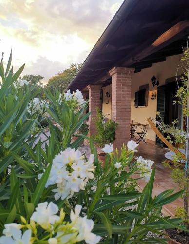 a garden with white flowers in front of a house at Casale Terre Rosse Garden in Saturnia