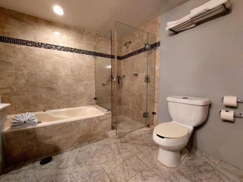 a bathroom with a shower and a toilet and a tub at Gran Hotel Hacienda De La Noria in Aguascalientes