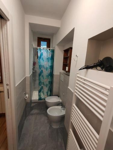 a bathroom with a toilet and a shower at CASA LA FALEGNAMERIA in Bivigliano
