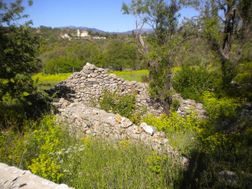an old stone wall in a field of flowers at Amygdalia, a Stone House in a quiet landscape in Leonidion