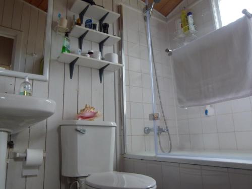 a bathroom with a toilet and a shower and a sink at Casa Tunquén in Tunquen