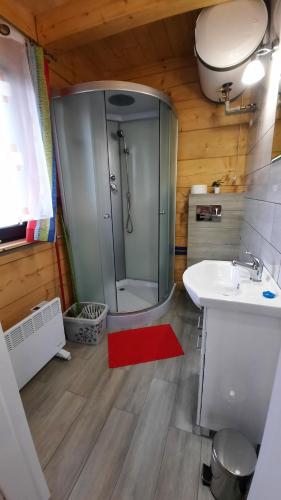 a bathroom with a shower and a sink at Domek do wynajęcia - Siedlisko przy lesie in Rząśnik