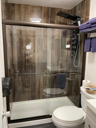 a bathroom with a glass shower with a toilet at Valley Motor Lodge in Minnedosa