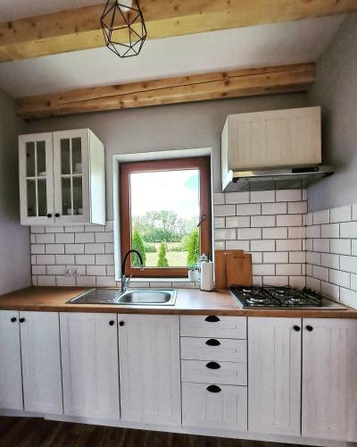 Η κουζίνα ή μικρή κουζίνα στο Domki w Bieszczadach - Apartamenty